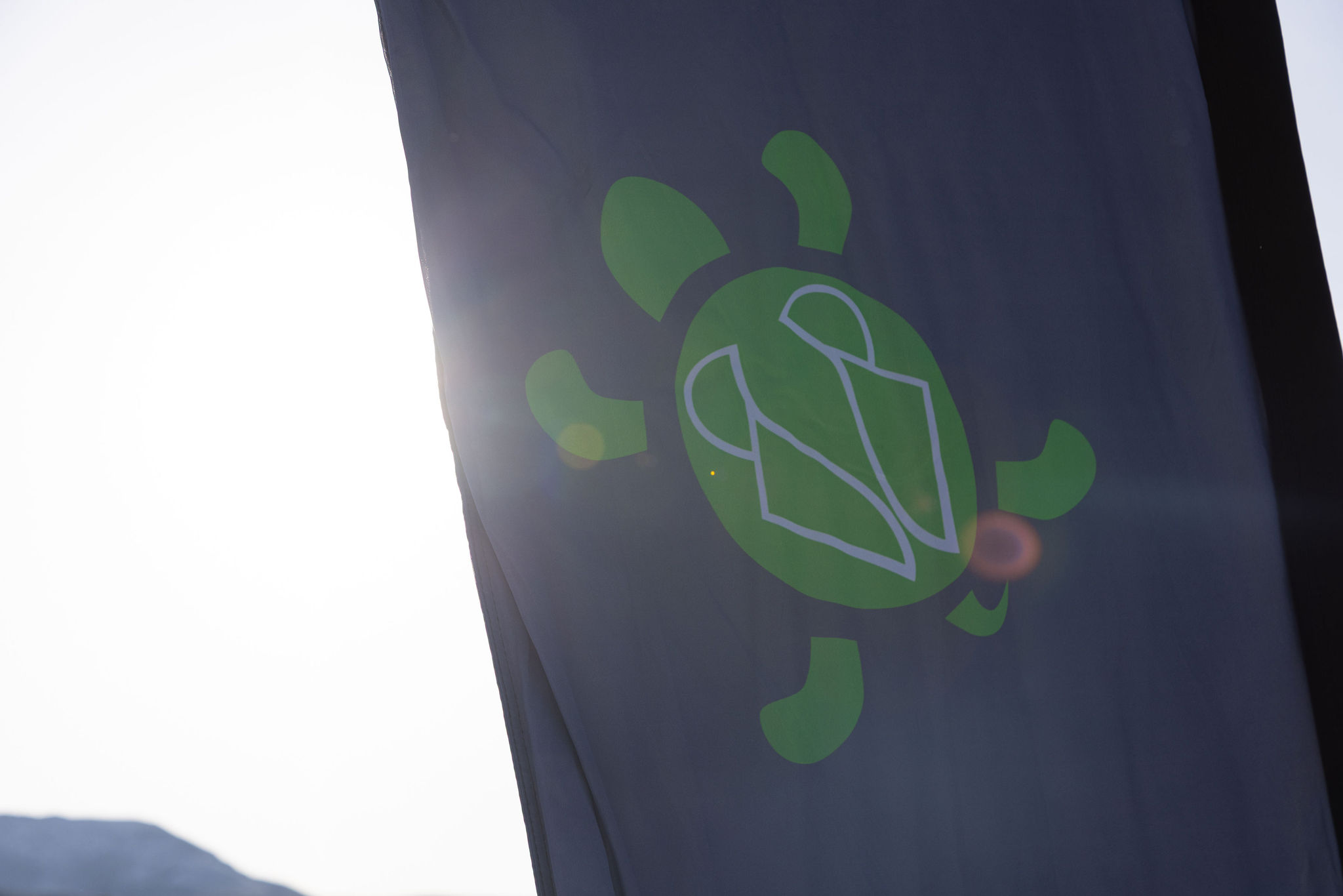 Hi! Another thing happened: I contacted Halladay on Monday and told her we needed to go see a close friend of ours very soon. I haven’t seen him in over a year. I knew he’d been declining, but my understanding was the he was “steady.” He suddenly became heavy on my heart Sunday night. I got a call that he passes away Monday night.